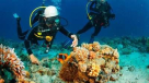 Rhalat Alshams Tourism