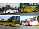 Veera International