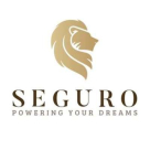 Seguro Real Estate Brokerage