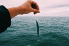 Jigking Fishing