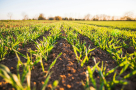 House Partnership Agricultural Tools Trading L.l.c