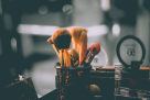 Salar Story For Perfumes & Cosmetics Trading
