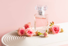 Jana Beauty Trading