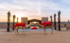 Desert Spot Tourism