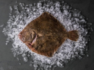Isla Seafoods