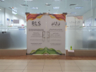 BLS International Services