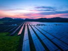 Longi Solar Technology