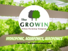 The Growin Seeds Trading