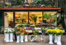 Evergreen Flowers & Plants