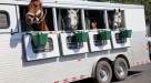 Equitrans Logistics