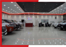 Blitz Motors