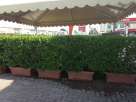 Mubasher Cafeteria