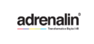 Adrenalin Esystems L.l.c