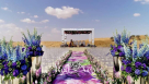 Red Velvet Events