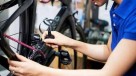 Al Jari Bicycle Trading