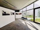 Al Safa Art & Design Library