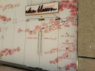 Eden Blossom Ladies Salon