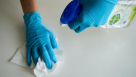 Whizz Cleaning Services
