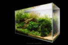 Zen Qua Aquarium Trading