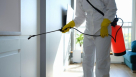 Berkeley Public Health Pests Control Services