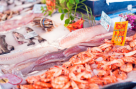 Icy Deck Frozen Fish & Seafood Trading