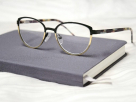 Optic Point Optics