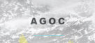 AGOC General Security Guard Services