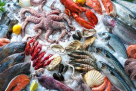 Salman Ghanim Fish Stall