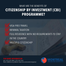Montreal Management Consultants