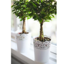 Wow Planet Garden Landscaping