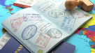 Flying Colour Immigration Services