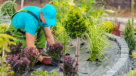 Arad Alnajoom Landscape & Gardening