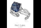 Pavit Gujral Designs