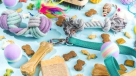 My Pet Five Pet Food & Accessories