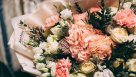 Flower Center
