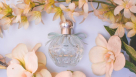 Abeer Alrooh Perfumes