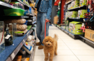 Pets World