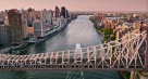 Foster+partners