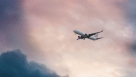 Last Option Travel Agency