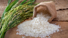 Masar Al Abyad Goods Wholesalers