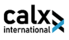Calx International Auditing Of Accounts