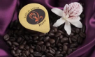 Hotcafe Plus