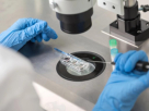 Art Fertility Clinics