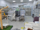 Amazon Pet Animals Trading (branch)