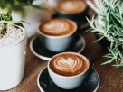 Alsobat Coffee Shop