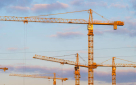 Kanoo Cranes