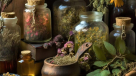 Al Baraka Medicinal Herbs