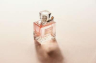 S6 Perfumes & Cosmetics Trading