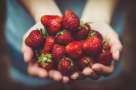 Autonomy Food Consultant