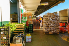 Al Chayah General Trading